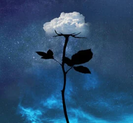 The peace that I deserve | CH 21-29 0 (0)