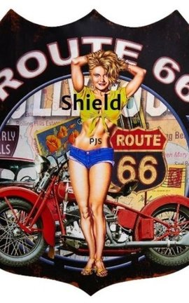 Shield